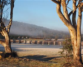 Savina Lane Premum Wines - C Tourism 0