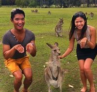 Runaway Tours - C Tourism