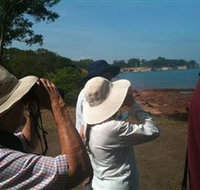 Follow That Bird - C Tourism