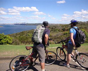 Lifes An Adventure - C Tourism 4