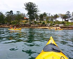 Lifes An Adventure - C Tourism 3