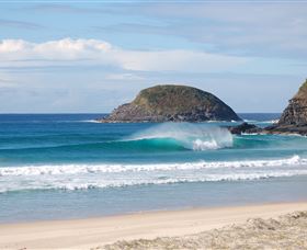 Surfaris Surf Camp - C Tourism 4