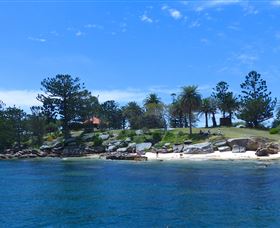 Sydney Harbour Discovery - C Tourism 1