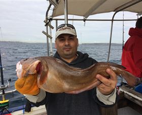 Deep Sea Fishing Charter - C Tourism 5