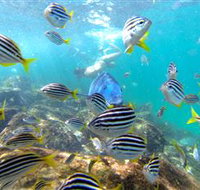 EcoTreasures - C Tourism