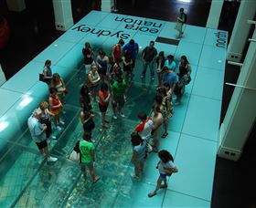 I'm Free Tours - C Tourism 1