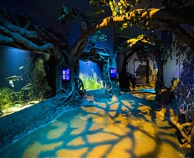 SEA LIFE Sydney Aquarium - C Tourism 2