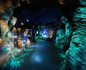 SEA LIFE Sydney Aquarium - C Tourism 3