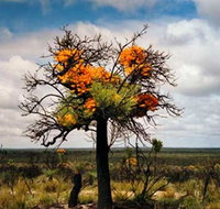 The Delmar Gallery - C Tourism