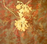 Fellia Melas Gallery - C Tourism