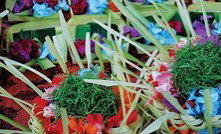 Kerrie Lowe Gallery - C Tourism 1