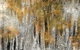 Kerrie Lowe Gallery - thumb 3