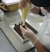 Fremantle Chocolate Pty Ltd - C Tourism 1