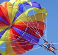 Port Stephens Parasailing - C Tourism