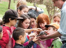 Blackbutt Reserve - C Tourism 2