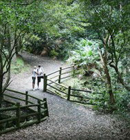 Blackbutt Reserve - C Tourism 3