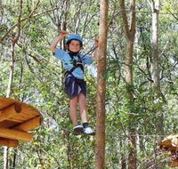 TreeTops Newcastle - C Tourism