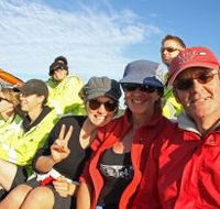 Byron Bay Whale Watching - C Tourism