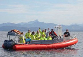 Byron Bay Whale Watching - C Tourism 2