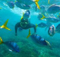 G Adventures - C Tourism