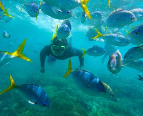 G Adventures - C Tourism 0
