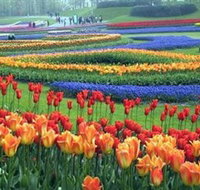 Botanica World Discoveries - C Tourism