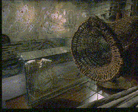 Australian Museum - C Tourism 3