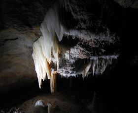 Country Charmâ„¢ Discovery Tours - C Tourism 1