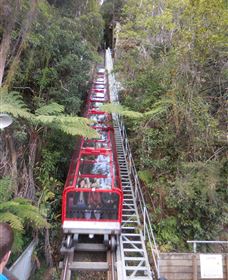 Country Charmâ„¢ Discovery Tours - C Tourism 6