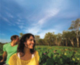 AAT Kings Guided Tours (Top End) - C Tourism 3