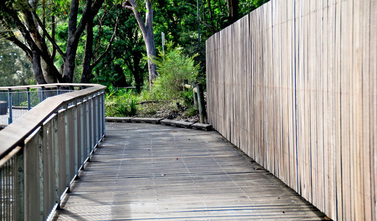 Sydney City NSW C Tourism