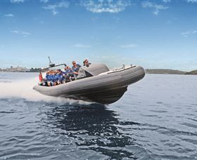 Manly Ocean Adventures - C Tourism 1