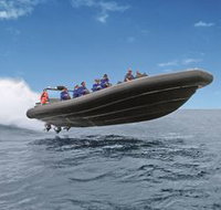 Manly Ocean Adventures - C Tourism
