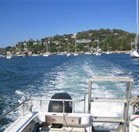 scubamunkies - C Tourism