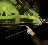 After Dark Nature Tours - C Tourism
