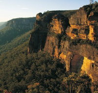 Blue Mountains Mountain Bike Adventure Tour - C Tourism