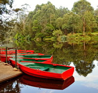 Lane Cove National Park - C Tourism