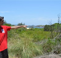 Kadoo Tours - C Tourism