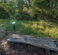 Browns Forest loop trail - C Tourism