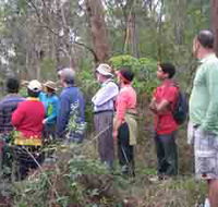 Boronia Tours - C Tourism