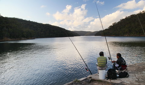 D'Albora Marinas At Akuna Bay - C Tourism 3
