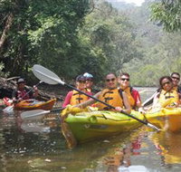 Southern Cross Kayaking - Hawkesbury - C Tourism