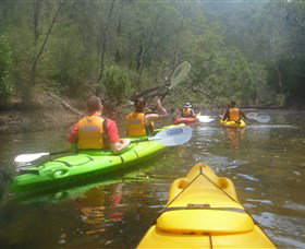 Southern Cross Kayaking - Hawkesbury - C Tourism 2