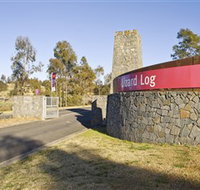Lizard Log - C Tourism