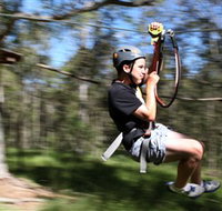 TreeTop Adventure Park Sydney - C Tourism