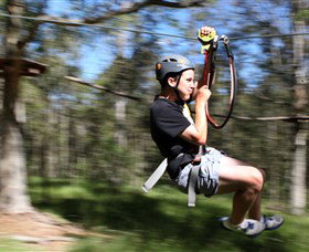 TreeTop Adventure Park Sydney - C Tourism 0