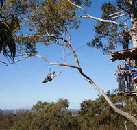 TreeTop Safari - C Tourism