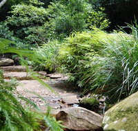 Forest path - C Tourism