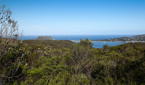 Aboriginal Heritage Walk - C Tourism 1