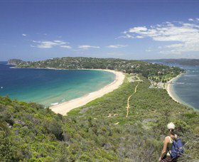 Palm Beach - C Tourism 7